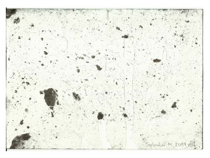 „Antes de la oxitocina“ de Guadalupe Aldrete