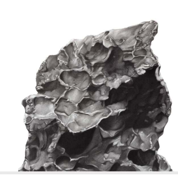  ICM presenta la exposición „Legal Aliens“ de Florian Raditsch. (Foto: cortesía ICM)