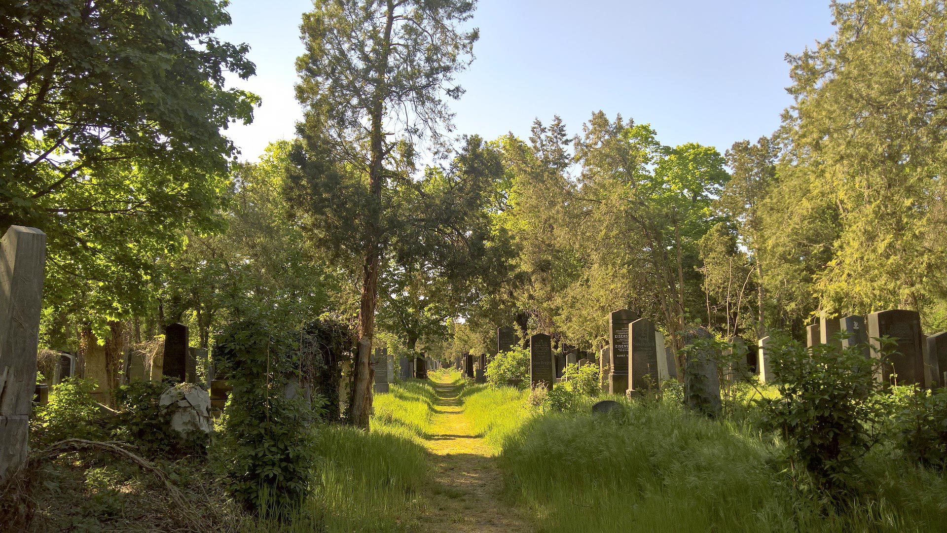 cemetenrio, urnas Vista interna del cementerio (Foto: © Toxi85/Pixabay)