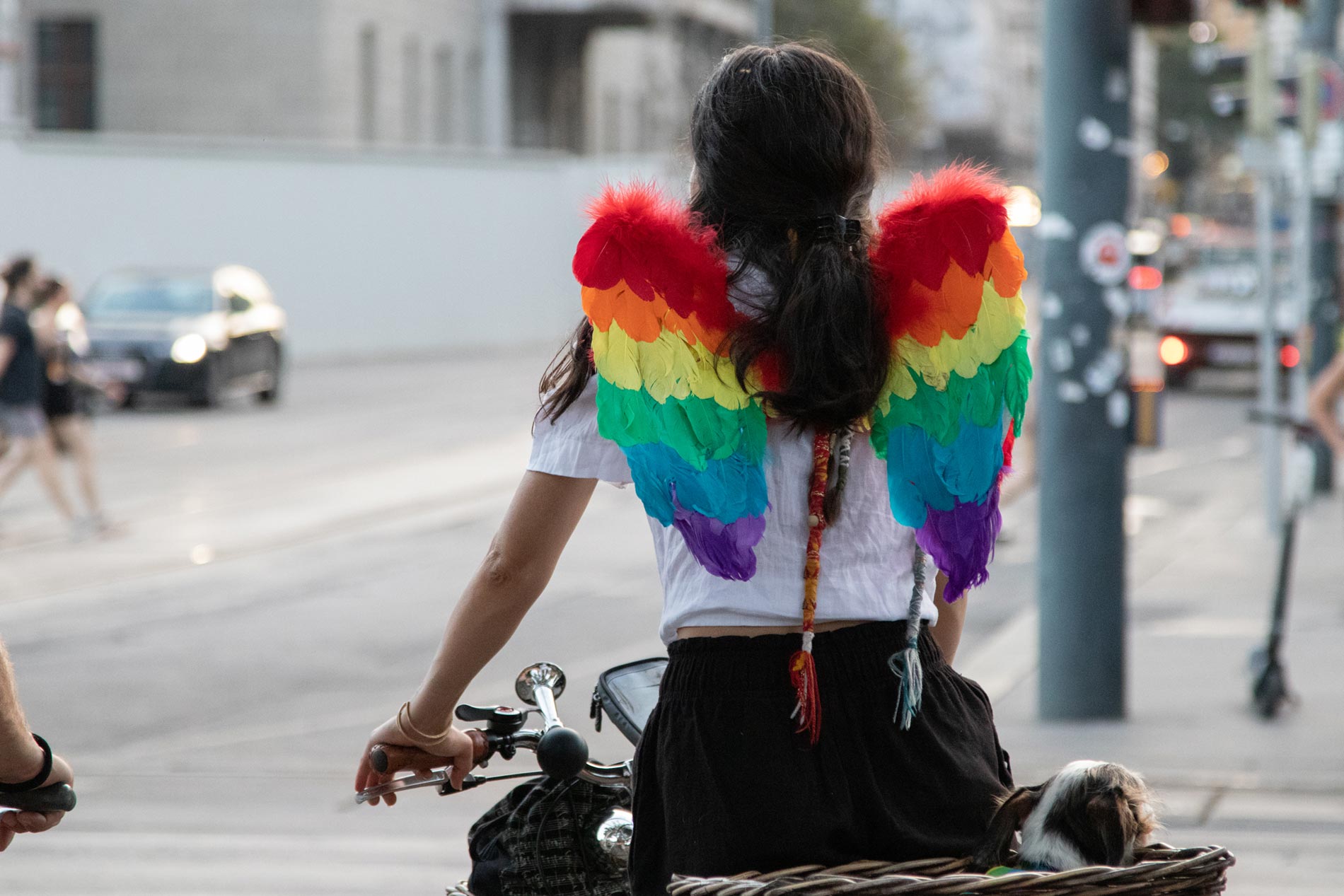 Manifestación por la aceptación, el respeto y la igualdad de derechos en Austria, Europa y todo el mundo. (Foto: Yunier Cobas)