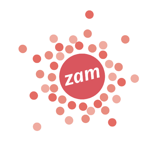 ZAM: Der partizipative Raum
