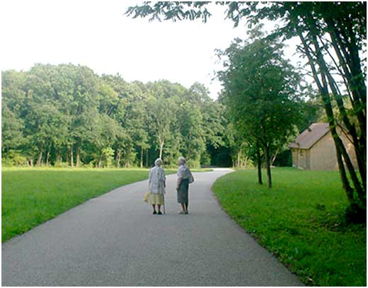 Lainzer Tiergarten en Viena, un maravilloso lugar para pasear, respirar aire puro y recolectar hierbas curativas