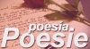 Poesía